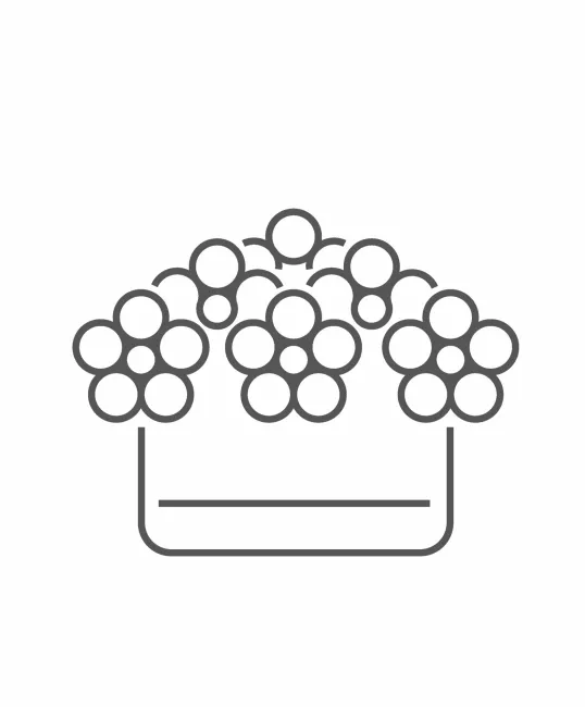 Box of flowers